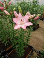 [4028 Albufeira No01.JPG]